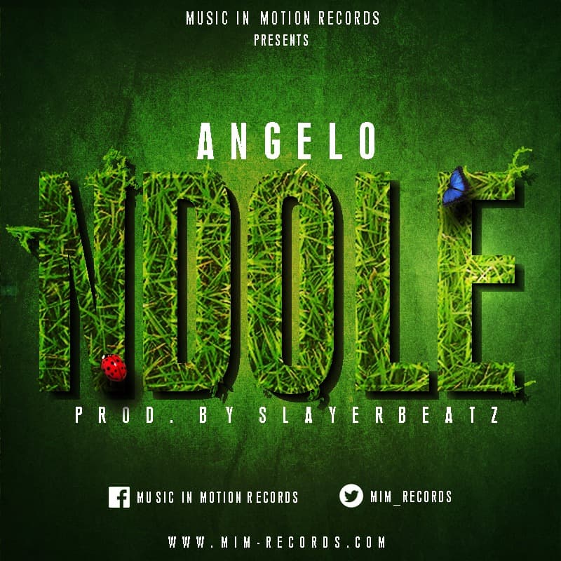 Angelo-Ndolé (prod by SlayerBeatz)
